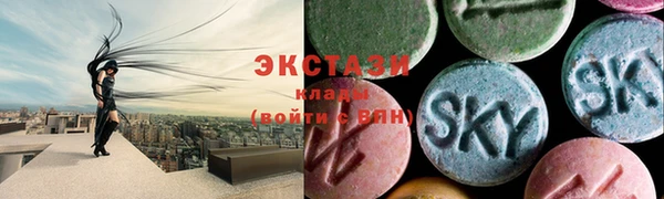 крисы Мегион