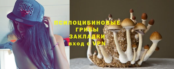 крисы Мегион
