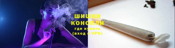 крисы Мегион