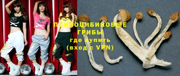 ALPHA-PVP Медвежьегорск