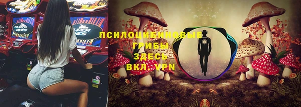 крисы Мегион