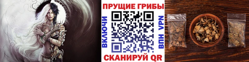 кракен ТОР  Дюртюли  Галлюциногенные грибы Cubensis 