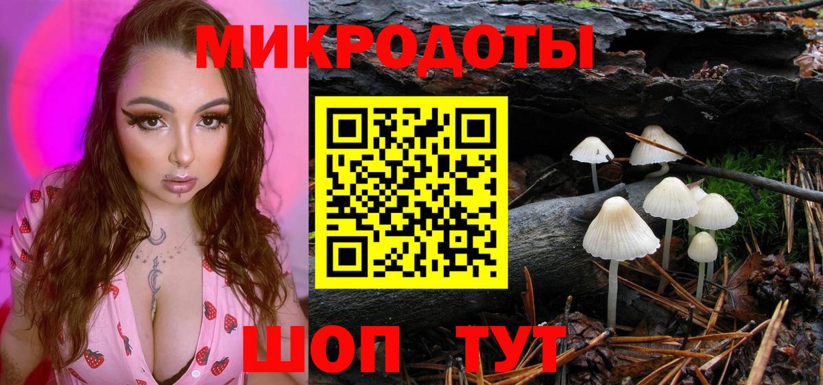 НБОМе Дюртюли